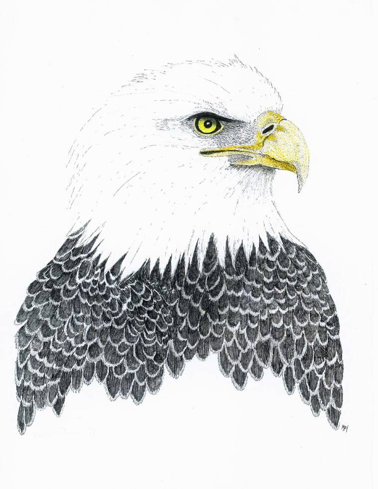 Artwork portraying an eagle