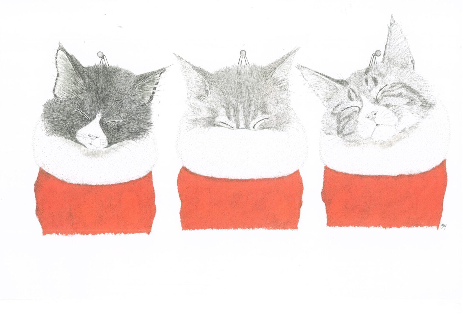 Three cats sleeping inside Christmas stockings