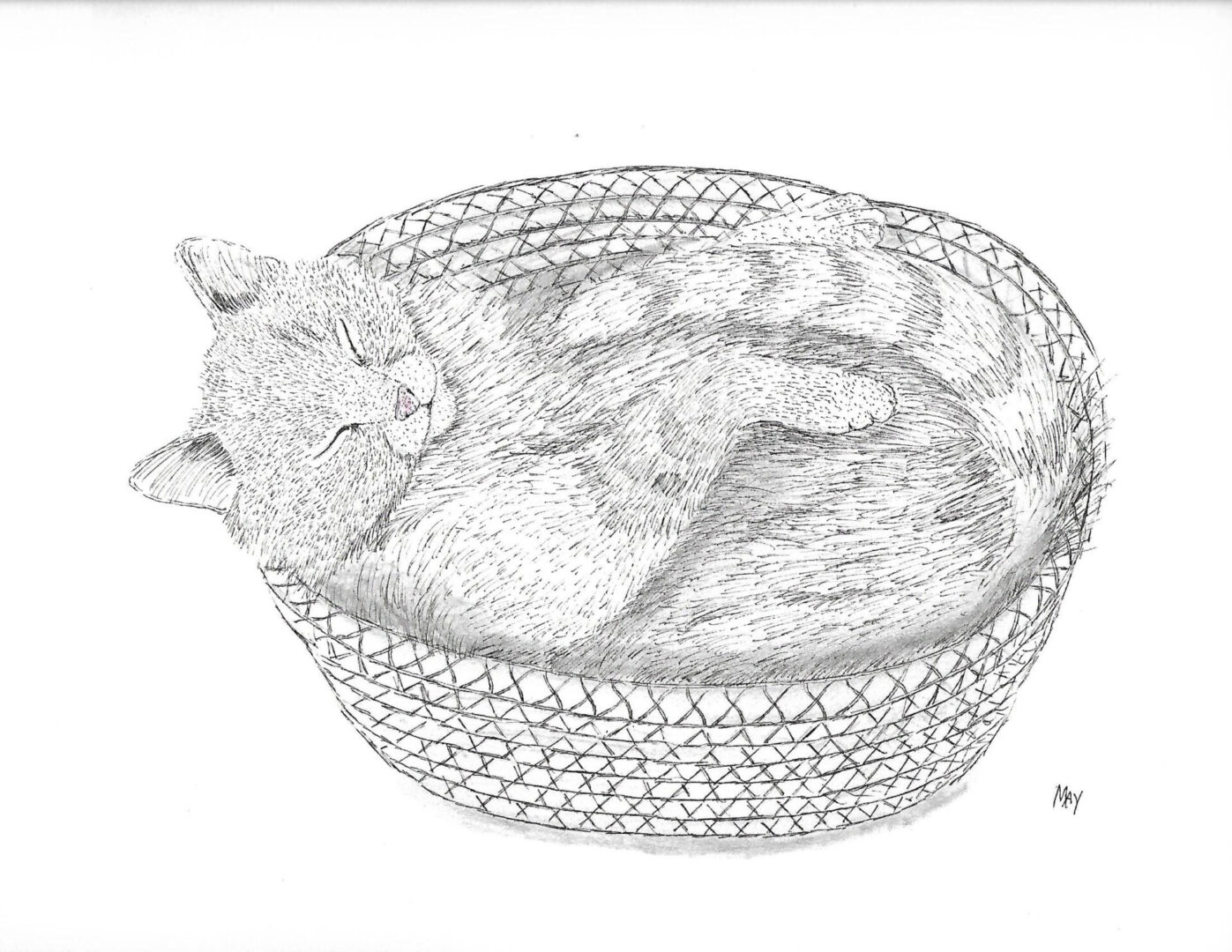 A cat sleeping in a basket