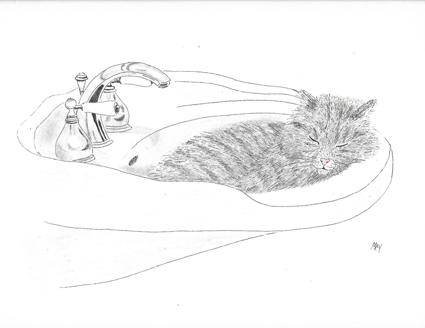 A cat sleeping on the sink