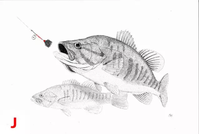 A fish about to get caught by a line