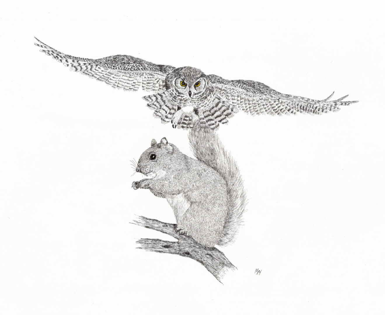 Sketch of an owl about to abduct a small squirrel